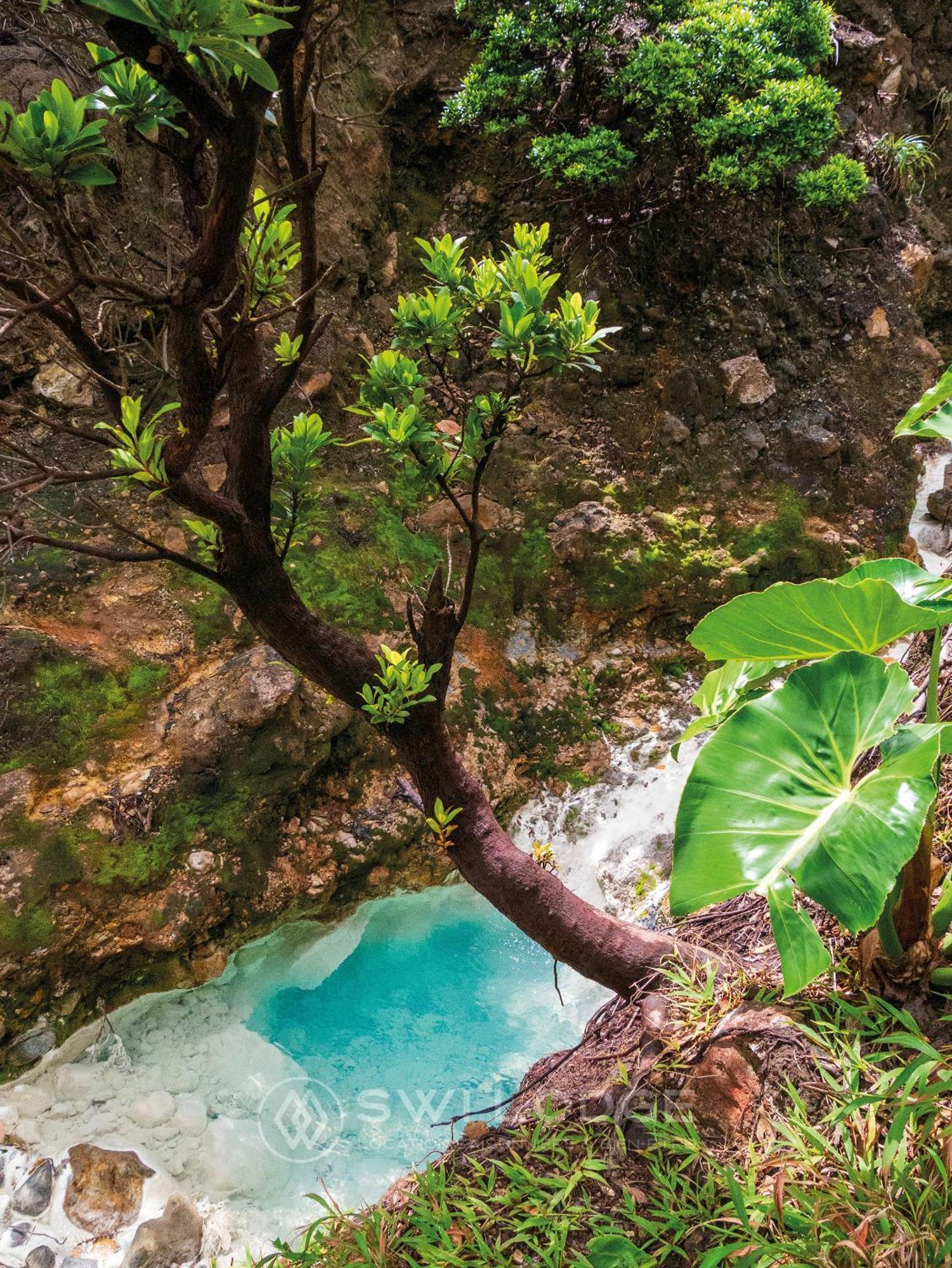 Swilodge Vue Sur Mer ! Petit Dejeuner Et Location De Voiture Possible Le Moule Ngoại thất bức ảnh